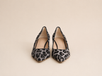 HOBBS LEOPARD KITTENS