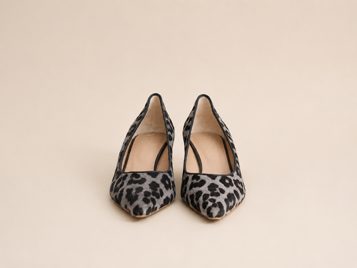 HOBBS LEOPARD KITTENS