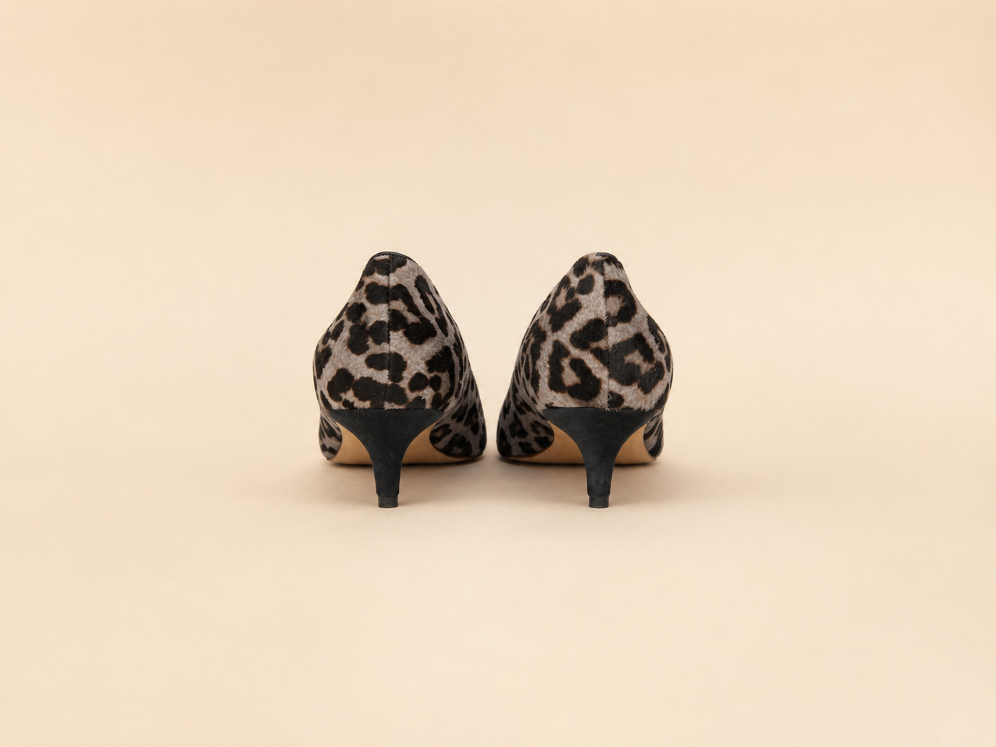 HOBBS LEOPARD KITTENS