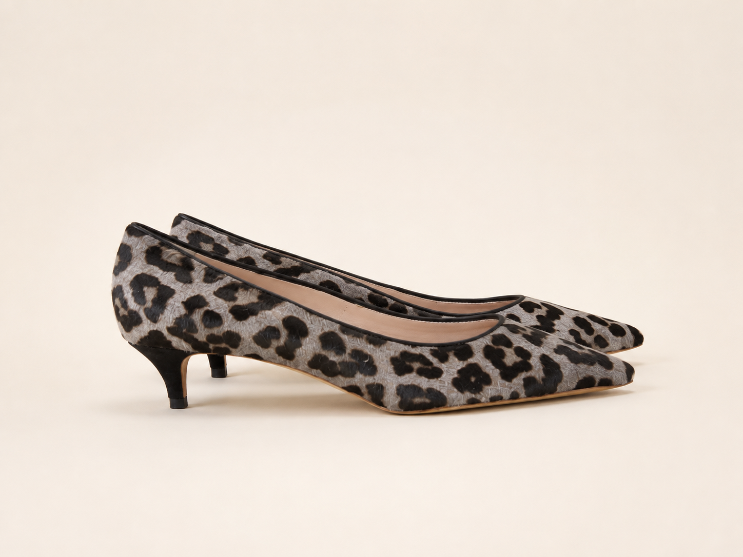 HOBBS LEOPARD KITTENS