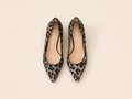 HOBBS LEOPARD KITTENS