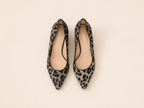 HOBBS LEOPARD KITTENS