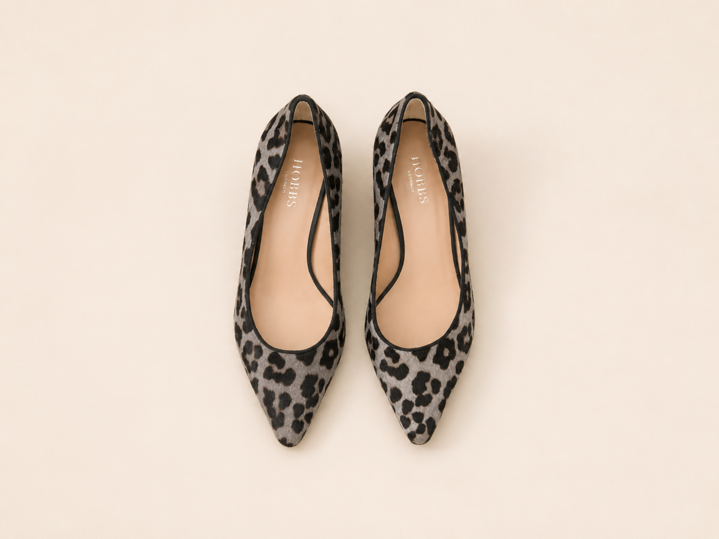 HOBBS LEOPARD KITTENS